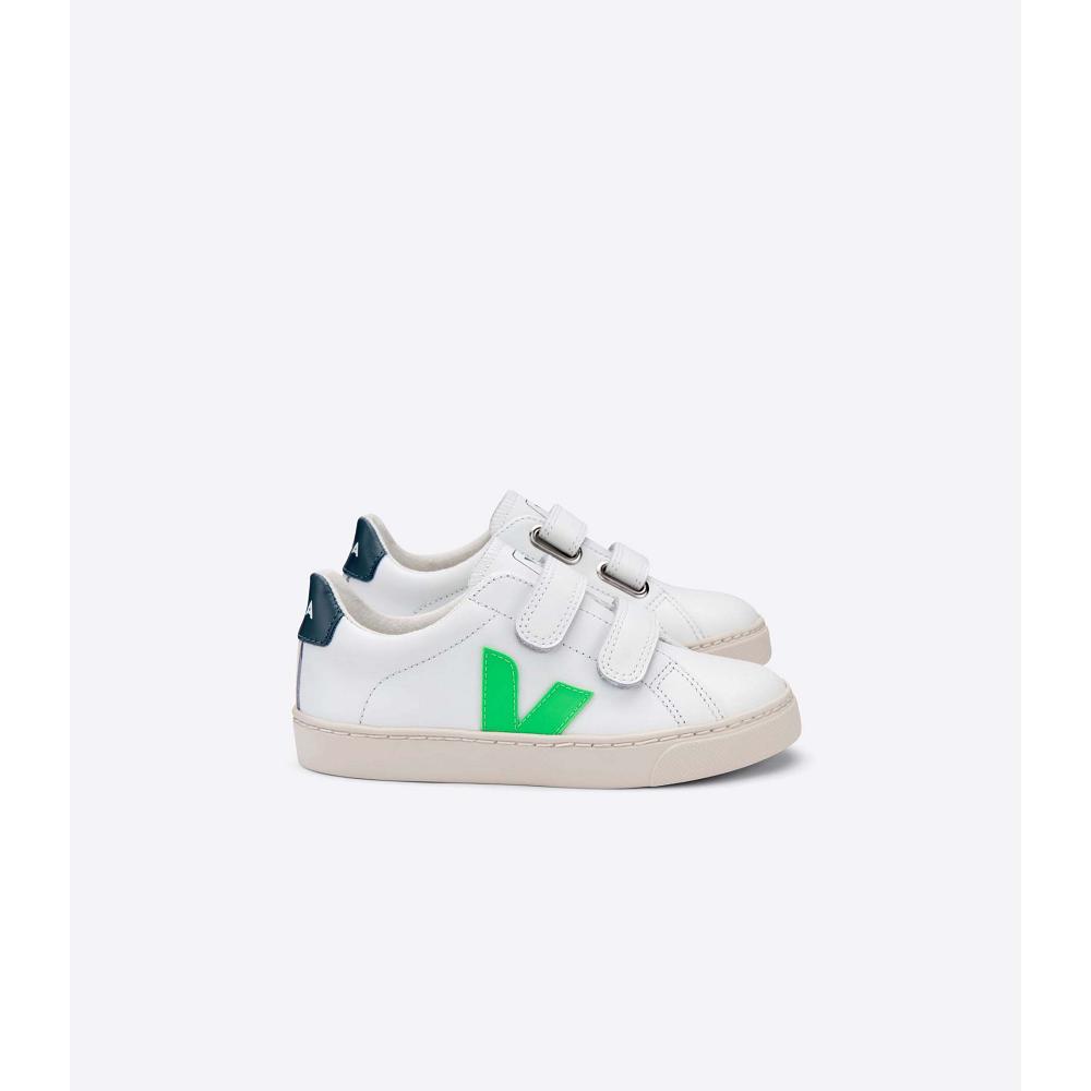 Kids\' Veja ESPLAR LEATHER Sneakers White/Green | SG 816EBC